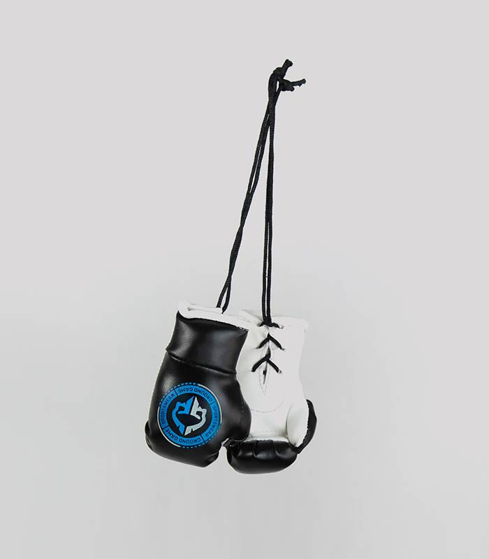 Mini mănuși de box pentru mașină