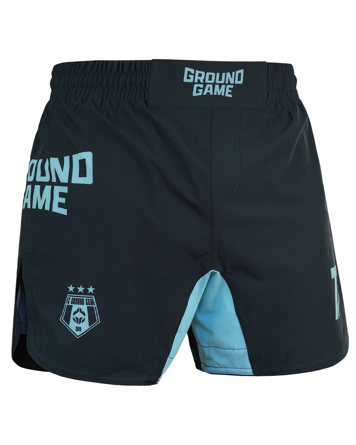 Pantaloni scurți ușori MMA FC Armbar (mentă)