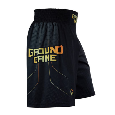 Șorturi de box Gold 2.0
