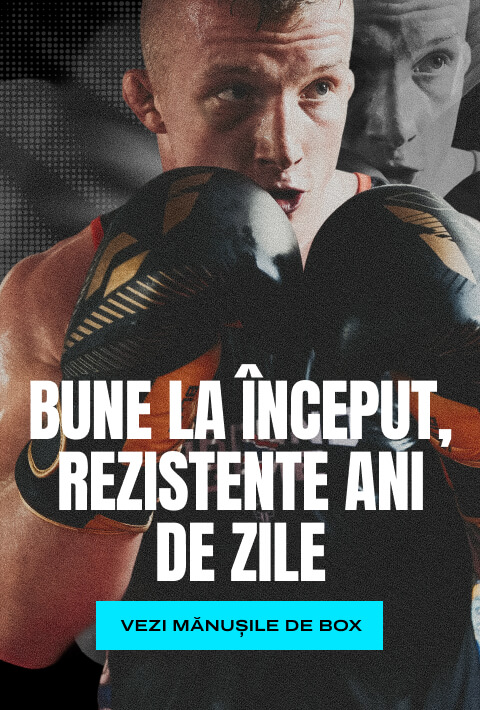 Mănuși de box