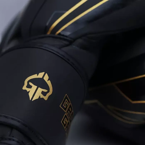 Mănuși de box din piele naturală Equinox Ground Game negru