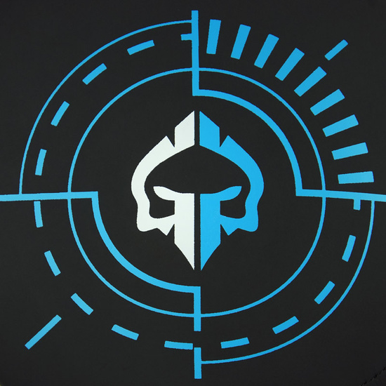 Palmare de box / ținte Target Ground Game