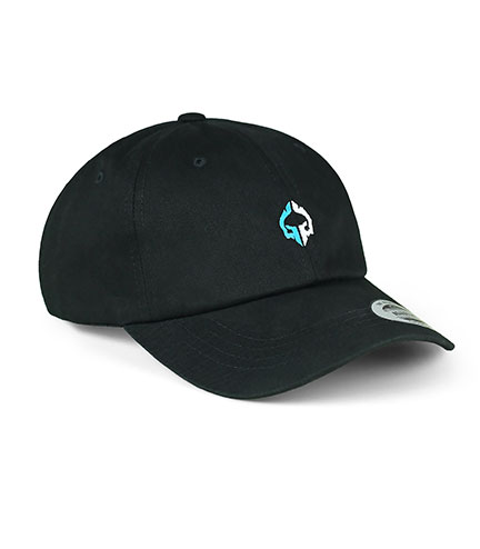Șapcă pentru bărbați Daddy Hat Mini Logo Ground Game negru